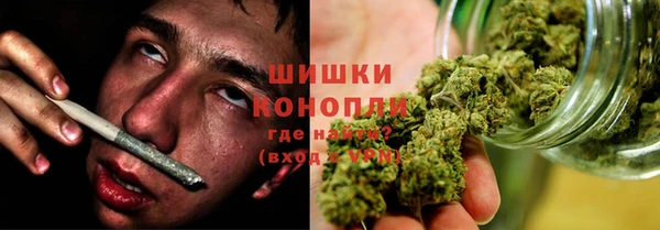 мет Ладушкин