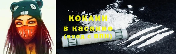 крисы Липки