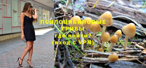 первитин Лиски