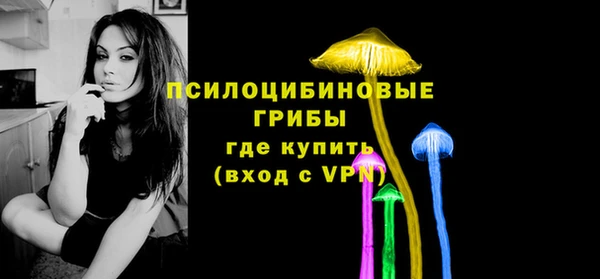 гидра Лагань