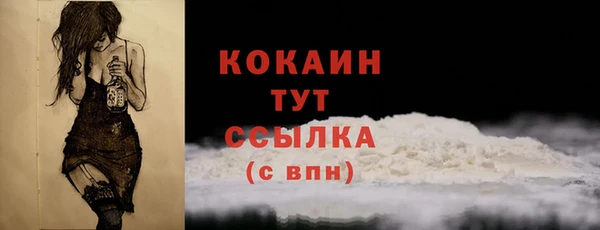 тгк Магас