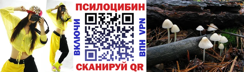 Купить Новосиль Галлюциногенные грибы мухоморы